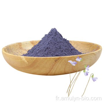 Colorant alimentaire en poudre de fleur de pois papillon bleu